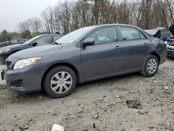 Salvage cars for sale at Candia, NH auction: 2010 Toyota Corolla Base