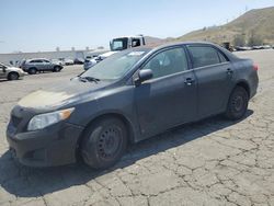 Toyota salvage cars for sale: 2010 Toyota Corolla Base