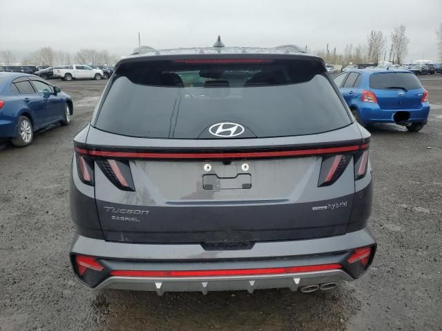 2024 Hyundai Tucson SEL Convenience