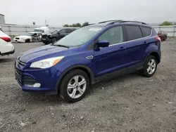 Salvage cars for sale from Copart Earlington, KY: 2014 Ford Escape SE