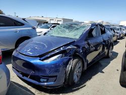 Tesla salvage cars for sale: 2020 Tesla Model Y