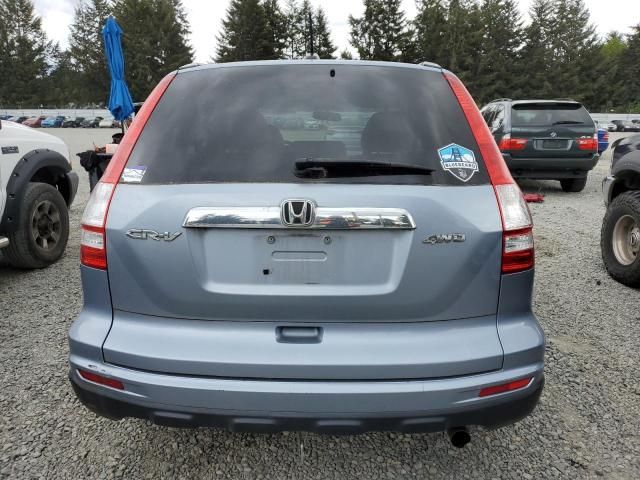 2010 Honda CR-V EXL