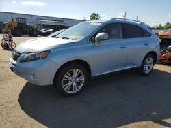 Salvage cars for sale at New Britain, CT auction: 2010 Lexus RX 450