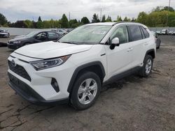 Salvage cars for sale from Copart Portland, OR: 2021 Toyota Rav4 XLE