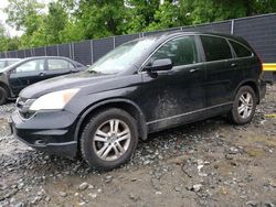 Salvage cars for sale at Waldorf, MD auction: 2011 Honda CR-V EXL