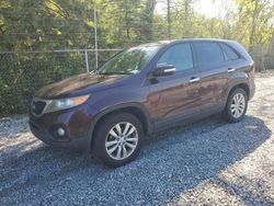 Salvage cars for sale at Northfield, OH auction: 2011 KIA Sorento EX