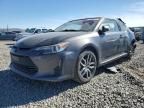 2016 Scion TC