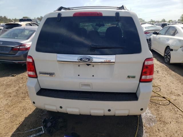 2010 Ford Escape Limited