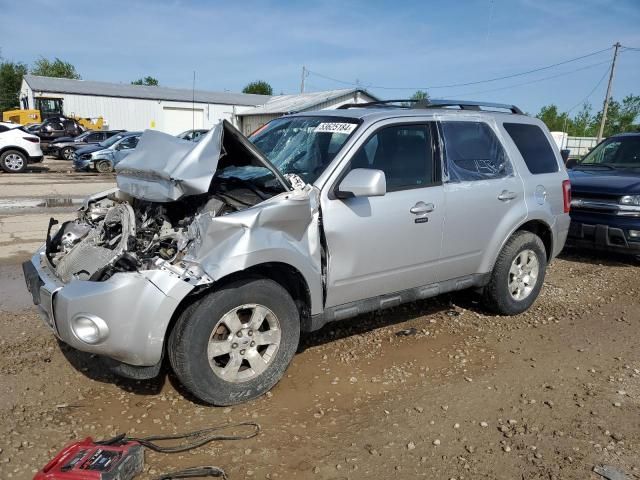 2011 Ford Escape Limited