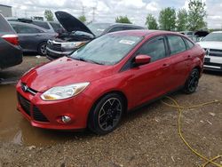 Salvage cars for sale at auction: 2012 Ford Focus SE