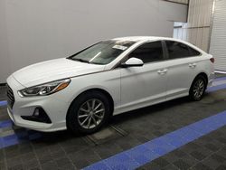 Clean Title Cars for sale at auction: 2019 Hyundai Sonata SE