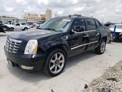 Cadillac salvage cars for sale: 2010 Cadillac Escalade EXT Luxury