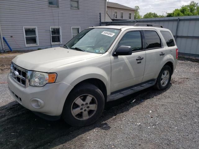 2009 Ford Escape XLT