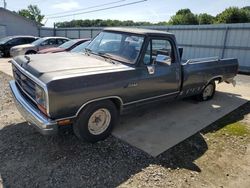 Salvage trucks for sale at Conway, AR auction: 1988 Dodge D-SERIES D100