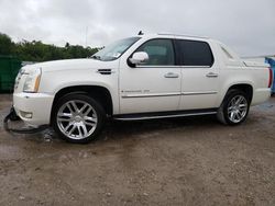 Cadillac salvage cars for sale: 2007 Cadillac Escalade EXT