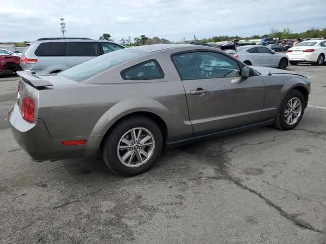 2005 Ford Mustang