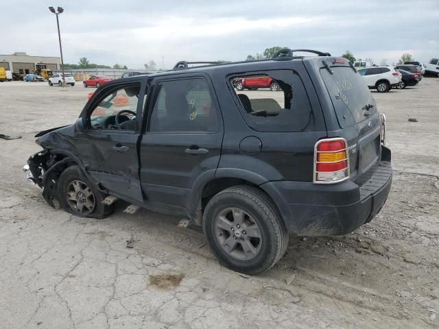 2005 Ford Escape XLT