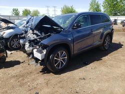 Salvage cars for sale at Elgin, IL auction: 2019 Toyota Highlander SE