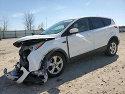 Salvage cars for sale from Copart Appleton, WI: 2014 Ford Escape SE