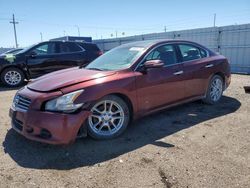 Salvage cars for sale at Greenwood, NE auction: 2010 Nissan Maxima S