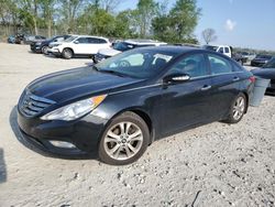 Salvage cars for sale at Cicero, IN auction: 2013 Hyundai Sonata SE