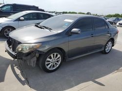 Vehiculos salvage en venta de Copart Grand Prairie, TX: 2010 Toyota Corolla Base