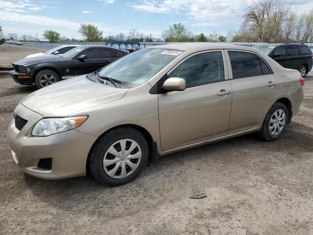 2010 Toyota Corolla Base