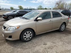 Toyota Corolla Base salvage cars for sale: 2010 Toyota Corolla Base