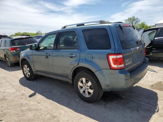 2010 Ford Escape Limited