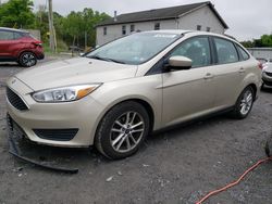 Salvage cars for sale at York Haven, PA auction: 2018 Ford Focus SE