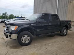 Salvage cars for sale from Copart Lawrenceburg, KY: 2014 Ford F150 Supercrew