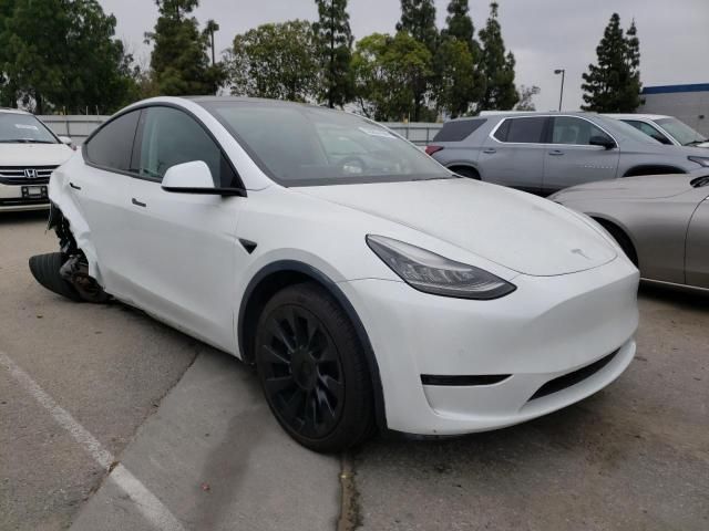 2020 Tesla Model Y