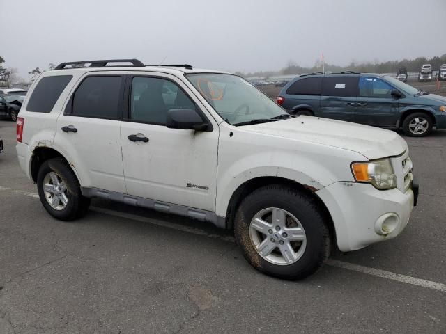 2009 Ford Escape Hybrid