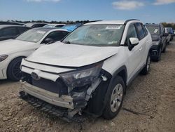 Salvage cars for sale from Copart Brookhaven, NY: 2019 Toyota Rav4 LE