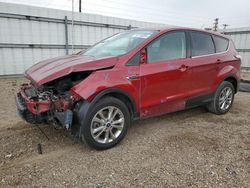 Salvage cars for sale at Mercedes, TX auction: 2017 Ford Escape SE