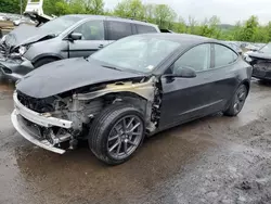 Salvage cars for sale at Marlboro, NY auction: 2023 Tesla Model 3