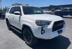 Salvage cars for sale at Sacramento, CA auction: 2019 Toyota 4runner SR5
