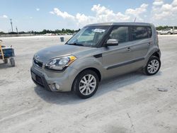 Salvage cars for sale at Arcadia, FL auction: 2013 KIA Soul +