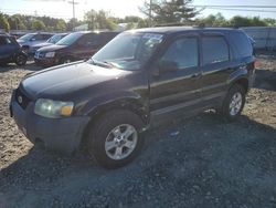 Salvage cars for sale at Windsor, NJ auction: 2007 Ford Escape XLT