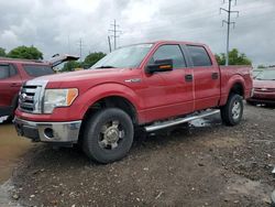 Vehiculos salvage en venta de Copart Columbus, OH: 2010 Ford F150 Supercrew