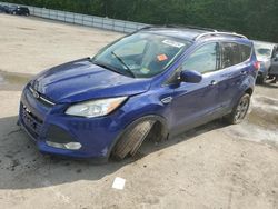 Salvage cars for sale at Glassboro, NJ auction: 2016 Ford Escape SE