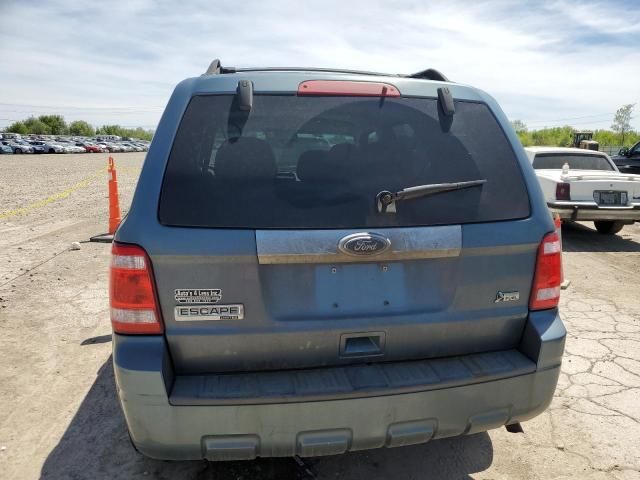 2010 Ford Escape Limited