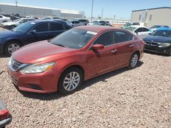 Salvage cars for sale at Phoenix, AZ auction: 2016 Nissan Altima 2.5