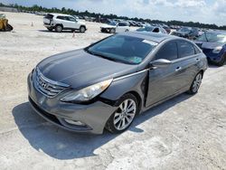 Salvage cars for sale at Arcadia, FL auction: 2013 Hyundai Sonata SE