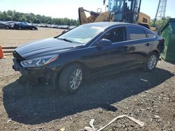 Salvage cars for sale from Copart Windsor, NJ: 2019 Hyundai Sonata SE