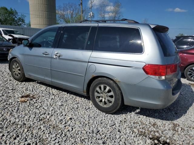 2009 Honda Odyssey EXL