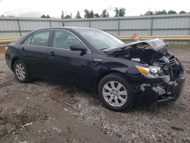 2009 Toyota Camry Hybrid