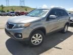 2011 KIA Sorento Base