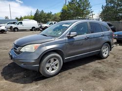 Salvage cars for sale from Copart Denver, CO: 2010 Honda CR-V EXL