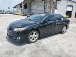Salvage cars for sale at Corpus Christi, TX auction: 2013 Toyota Camry L
